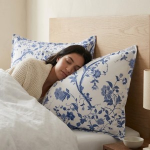 PACK X2 ALMOHADAS